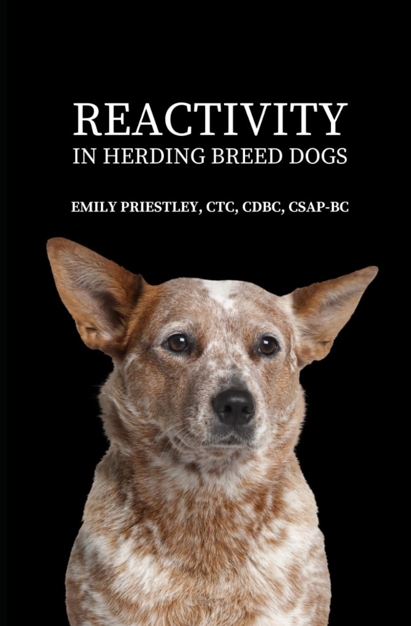 Reactivity In Herding Breed Dogs