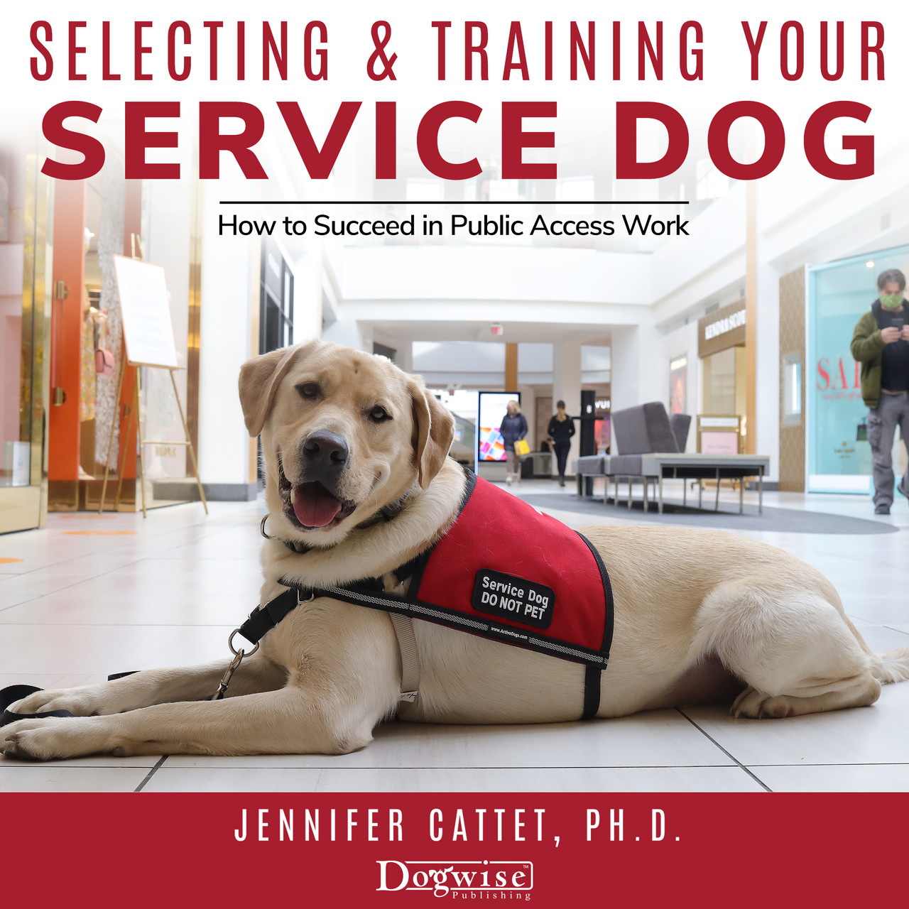 Service Dog Train My Dog To Be A Therapy Dog Service I Want My Dog To