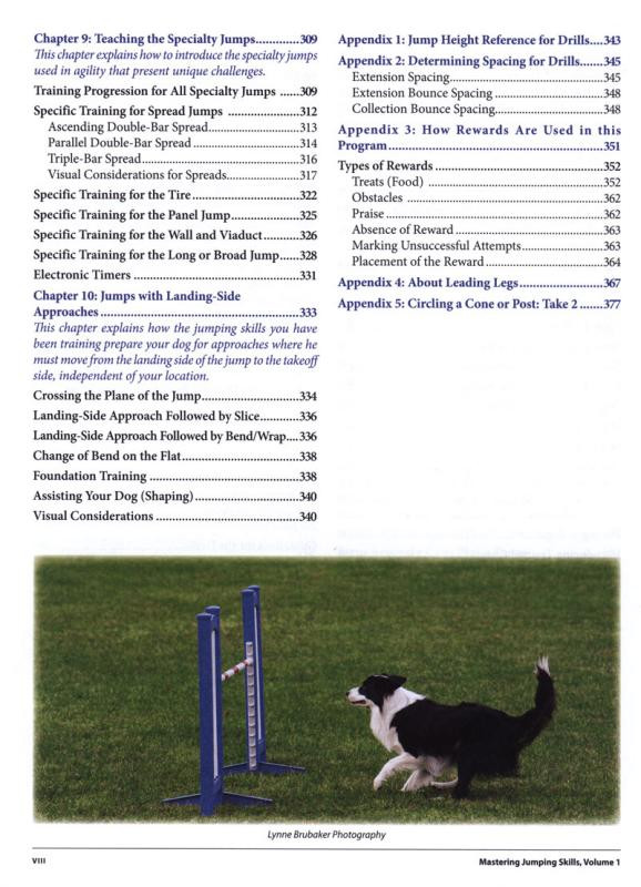 Mastering Jumping Skills for Awesome Agility Dogs Dogwise