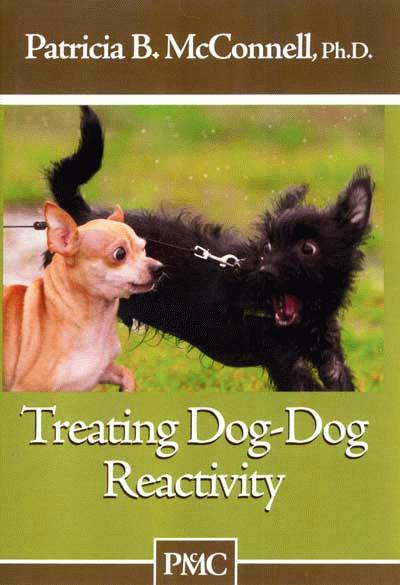 dog reactivity