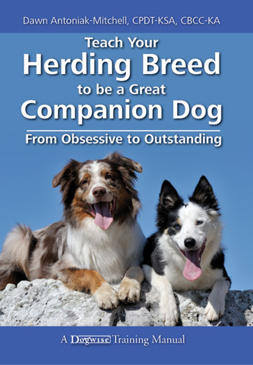best herding dog breeds