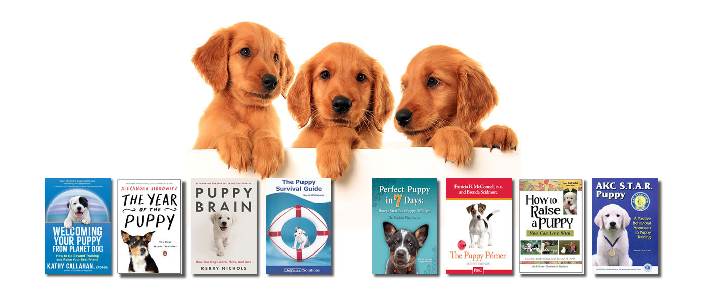 Dogwise.com - The Best Books, DVDs, and eBooks on Dogs