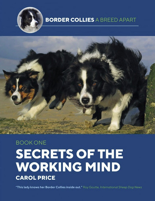 Border Collies A Breed Apart: Secrets of the Working Mind (Shopworn)