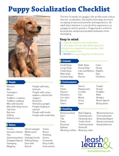 Puppy Socialization Checklist 100 Sheet Handout (Shopworn)