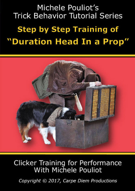 Step by Step Training of Duration Head in a Prop DVD