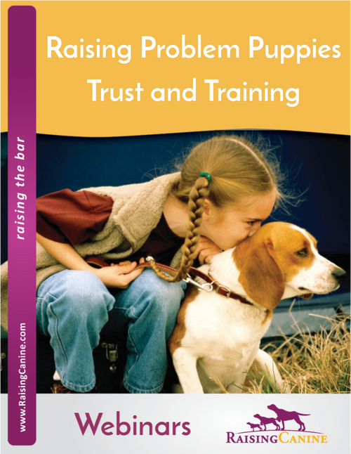 Raising Problem Puppies: Trust and Training - Webinar - Streaming Video on Demand