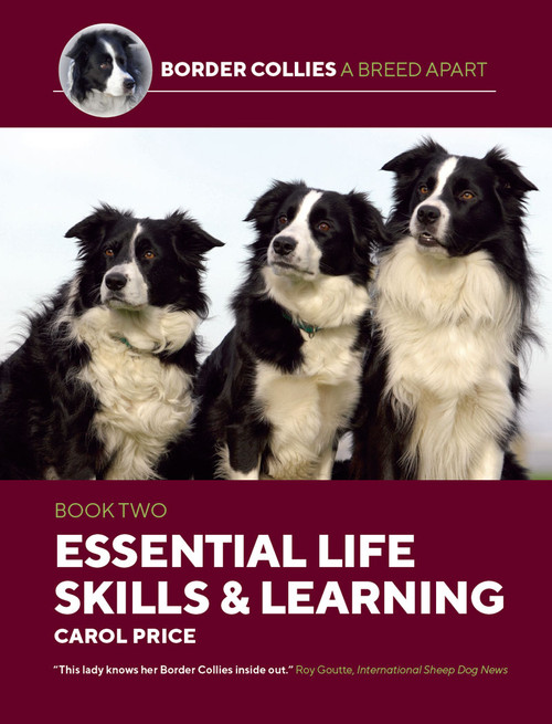 Border Collies A Breed Apart Book Two: Essential Life Skills & Learning