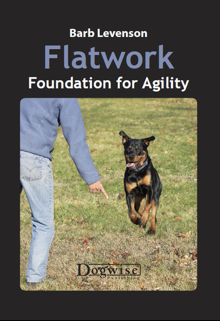 Flatwork - Foundation for Agility (Shopworn)