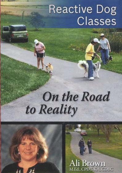 Reactive Dog Classes -  On The Road To Reality DVD