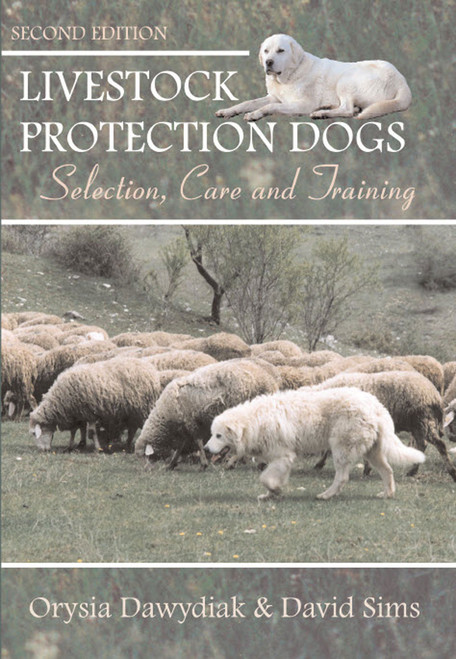 Positive Herding 101: Dog-friendly Training