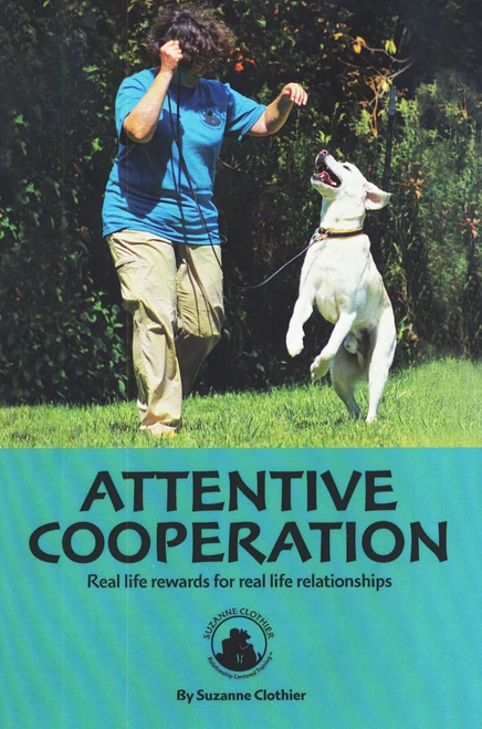 Attentive Cooperation: Real life rewards for real life relationships (Shopworn)