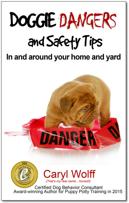 Doggie Dangers and Safety Tips: Preventing Accidents In and Around Your Home and Yard (Shopworn)