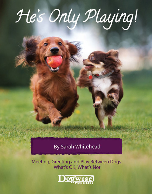 Ebook: Mind Games for Dogs - Dogwise Solutions - Dogwise