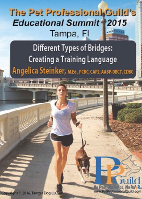 Different Types of Bridges -  Creating a Training Language DVD