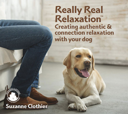 Really Real Relaxation: Creating authentic & connected relaxation with your dog- Streaming Video on Demand