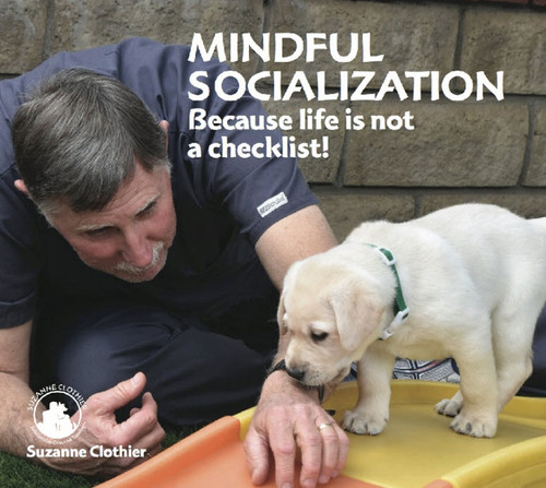 Mindful Socialization: Because life is not a checklist  DVD (Previously Viewed)