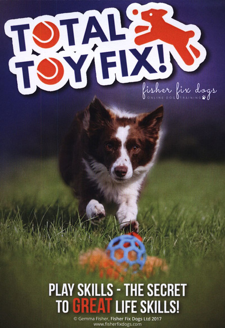 Total Toy Fix: Play Skills - The Secret to Great Life Skills! - Streaming Video on Demand