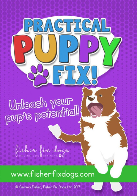Practical Puppy Fix!: Unleash your pup 