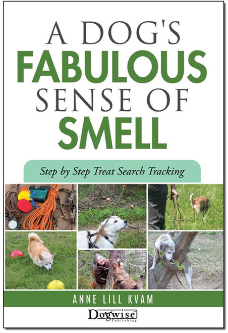 Scouts Sniff Book Nosework Dog Toy