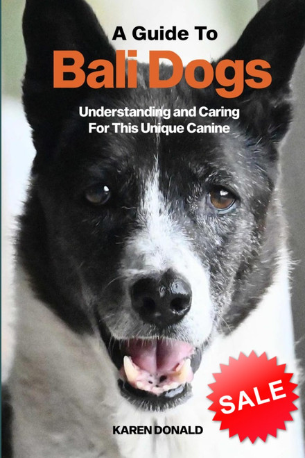 A Guide to Bali Dogs: Understanding and Caring For This Unique Canine