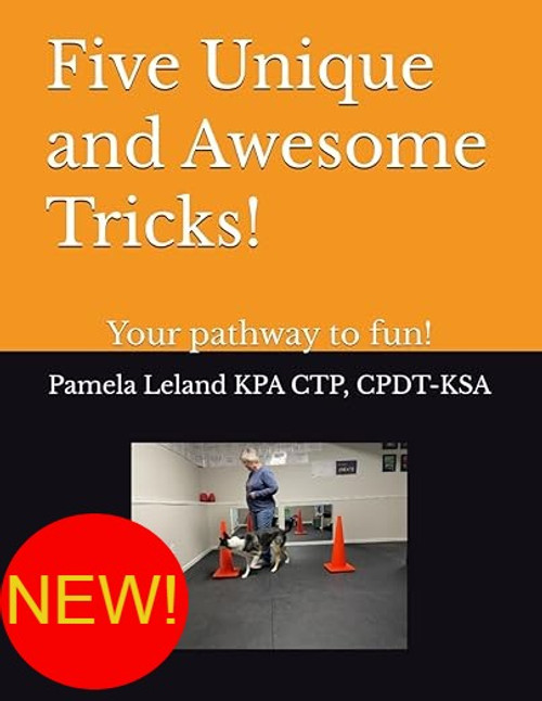 Five Unique and Awesome Tricks!: Your pathway to fun! Five Unique and Awesome Tricks!: Your pathway to fun!