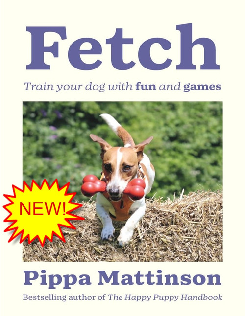 Fetch: Train your Dog with Fun and Games
