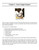 Doggie Dangers and Safety Tips: Preventing Accidents In and Around Your Home and Yard (Shopworn)