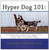 Hyper Dog 101: Tricks & Games to Help You Communicate Better with Your Crazy, High-Strung, Wild, Strong-Willed Dog (Shopworn)