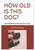 Ebook: How Old Is This Dog? Determining The Age Of A Dog