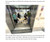 Flying With Your Service Dog: A Planning Guide