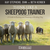 Audiobook: Think Like A Sheepdog Trainer: A Guide to Raising and Training a Herding Dog
