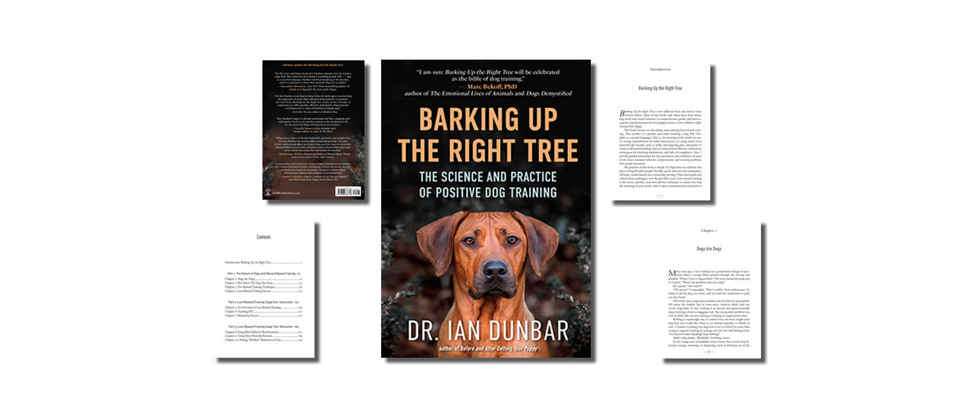 Brain Training For Dogs Pdf & Guidebook in 2023