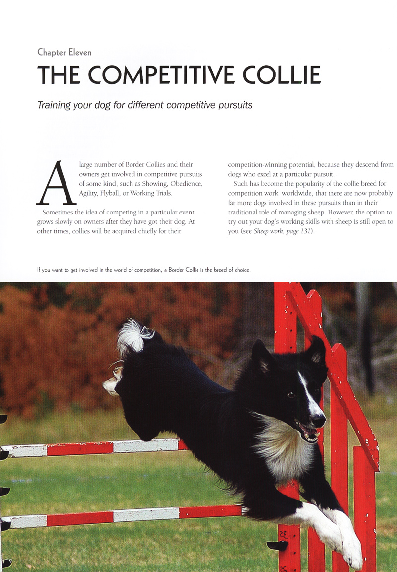 Collie Psychology: Inside The Border Collie Mind (Paperback) Dogwise
