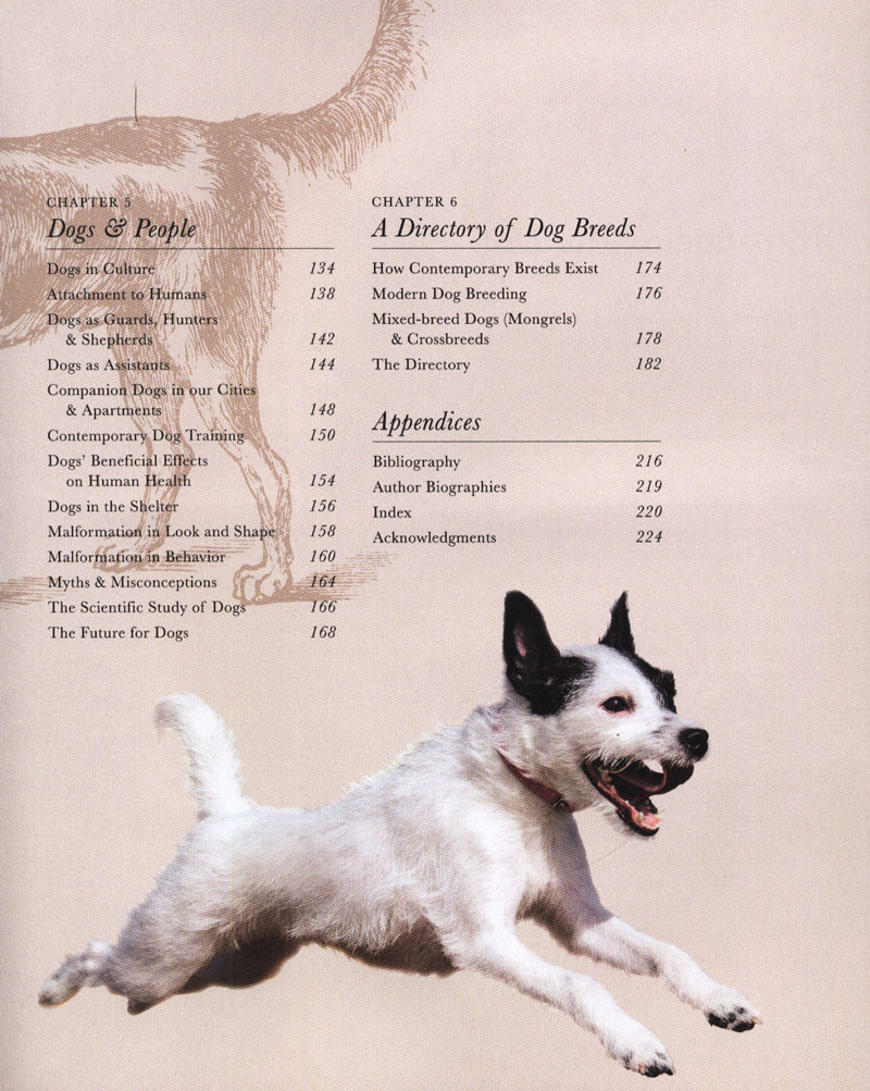 ※なかじ様 イヌの博物図鑑　The Dog A Natural History イヌの博物図鑑』｜感想・レビュー - 読書メーター