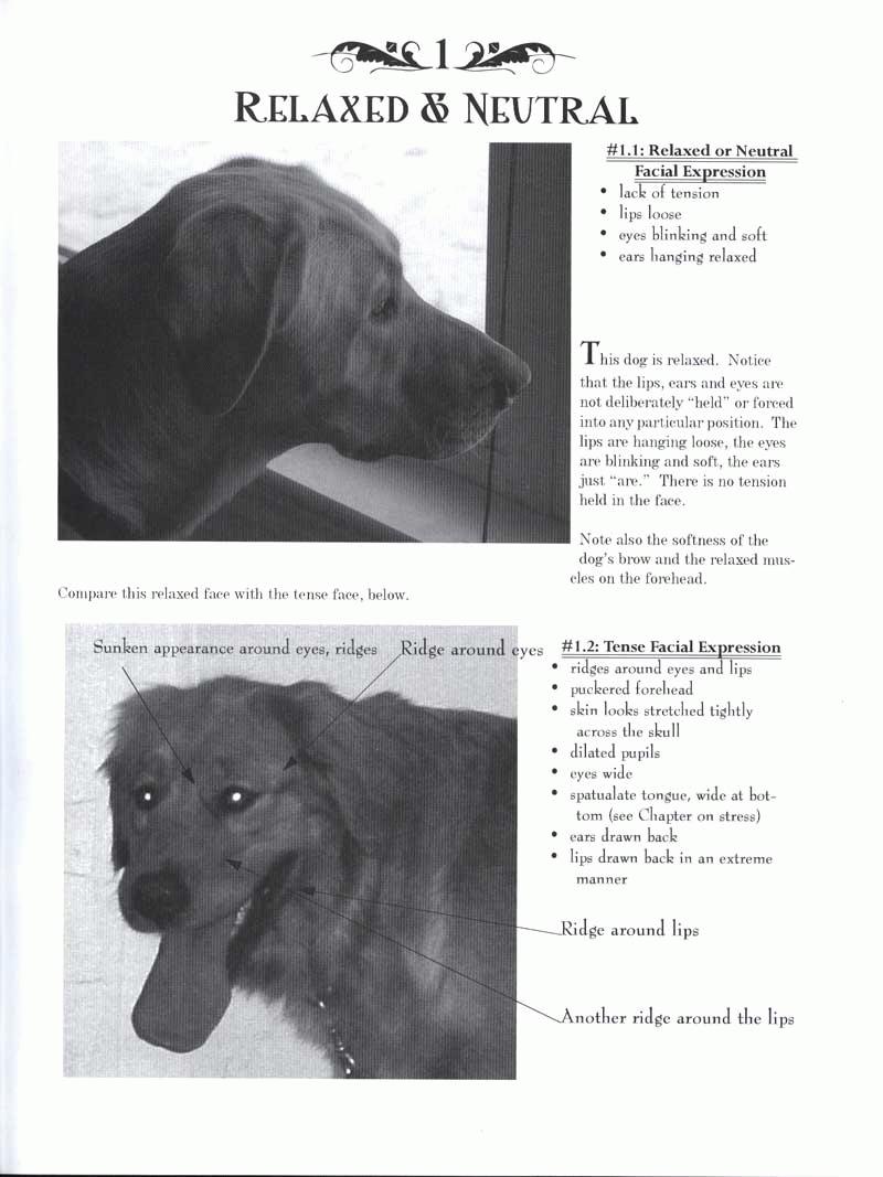 Ebook: Canine Body Language A Photographic Guide Dogwise