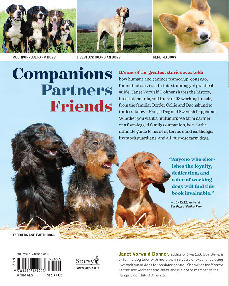 Farm Dogs: A Comprehensive Breed Guide to 93 Guardians, Herders