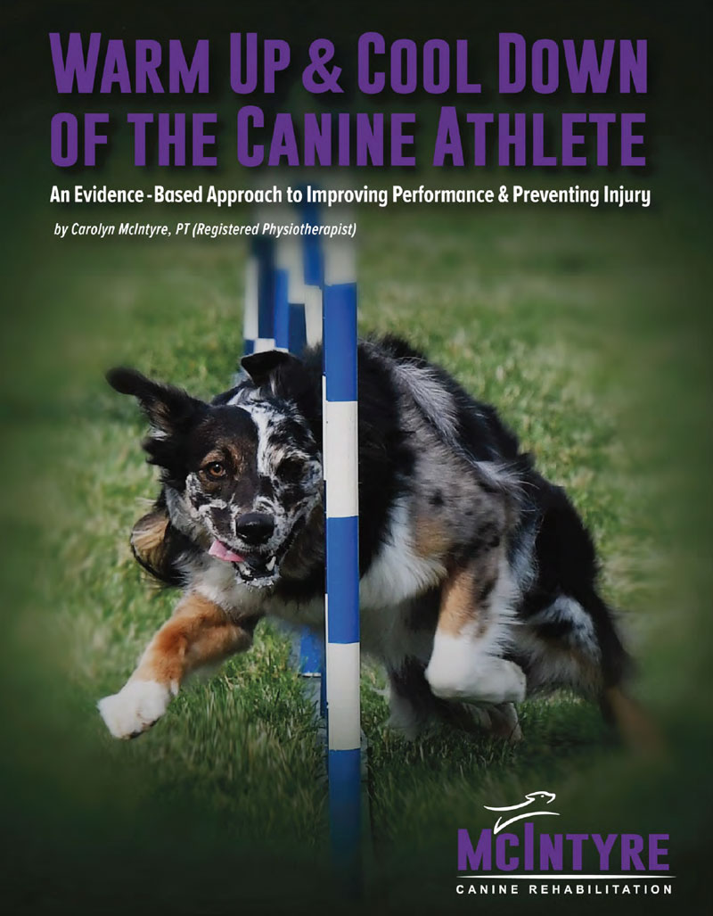 Warm Up and Cool Down of the Canine Athlete PDF