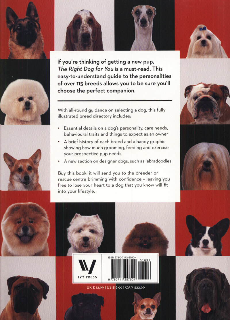 Dog's Personality Which Breed Of Dog Are You The Right Dog