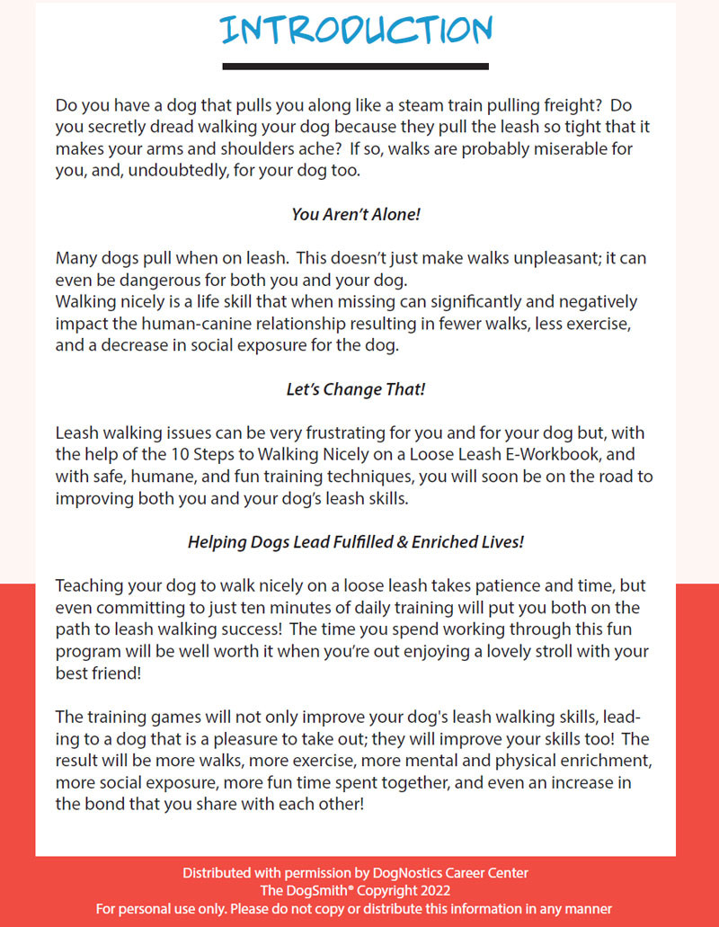 10 Steps to Walking Nicely on a Loose Leash: Step By Step