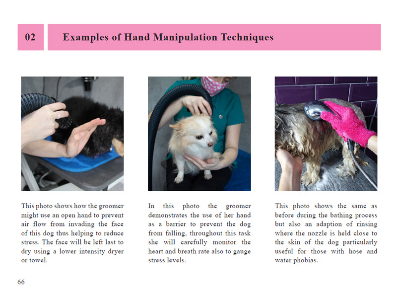A Teacher's Guide to Low-Stress Grooming: How To Make