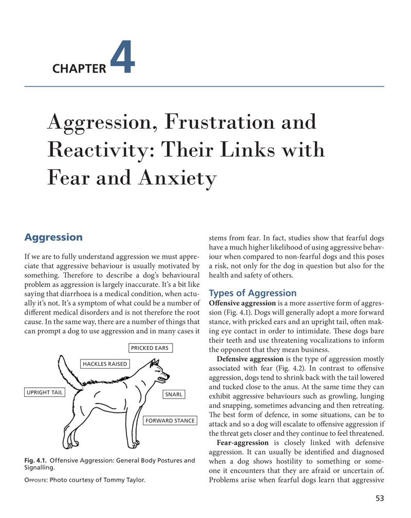 Fear and Anxiety in Dogs: Understanding, Prevention and Treatment