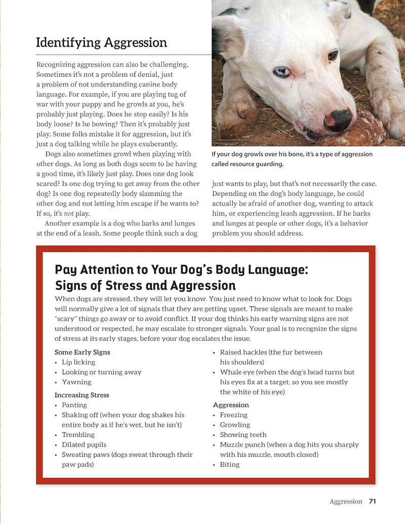 Behavior Problems How To Get Your Dog To Stop Barking At Other