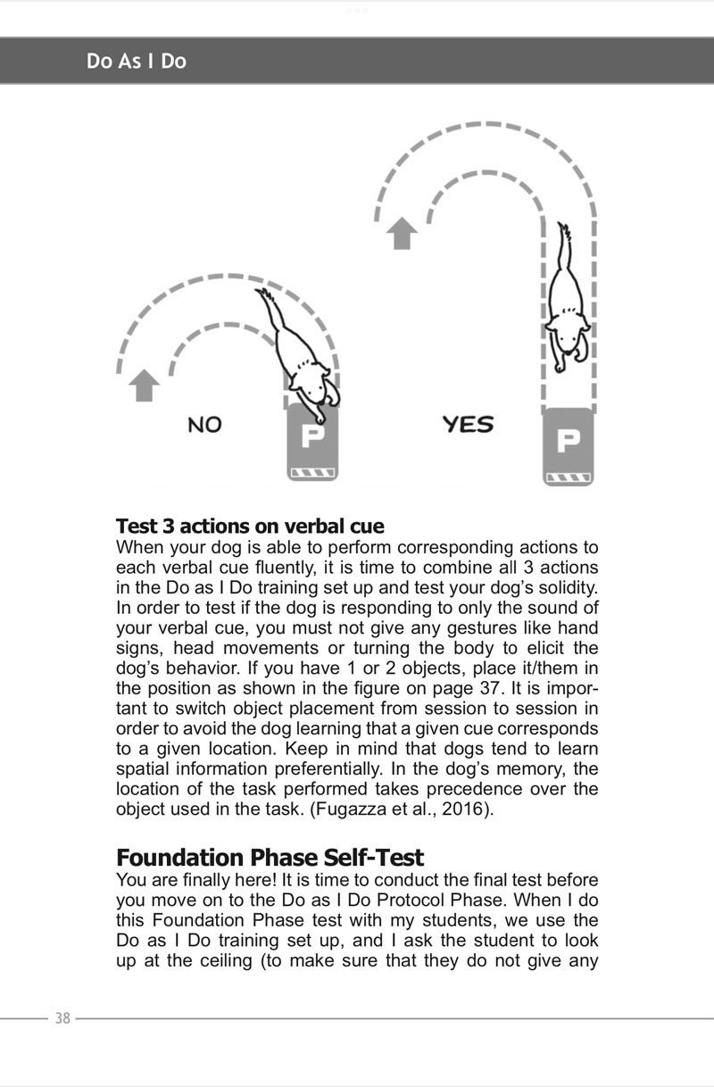 DO AS I DO 犬のトレーニング書 EBOOK: Do As I Do 2nd Edition: Using Social Learning to