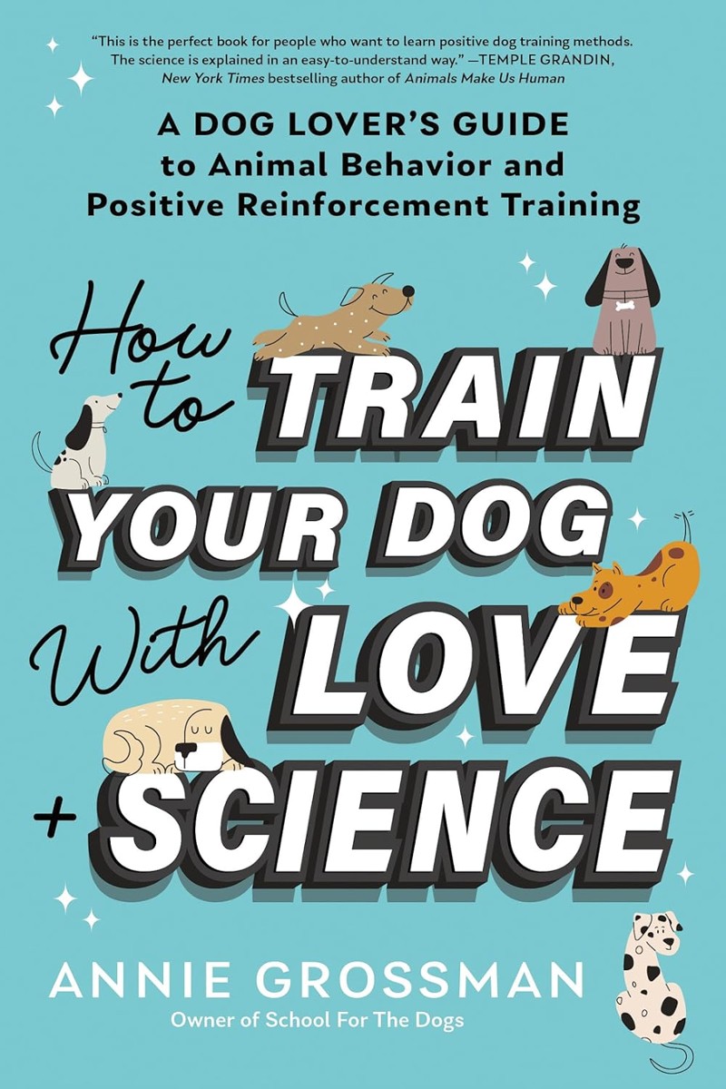 Positive Reinforcement Free Dog Obedience Training At Home How