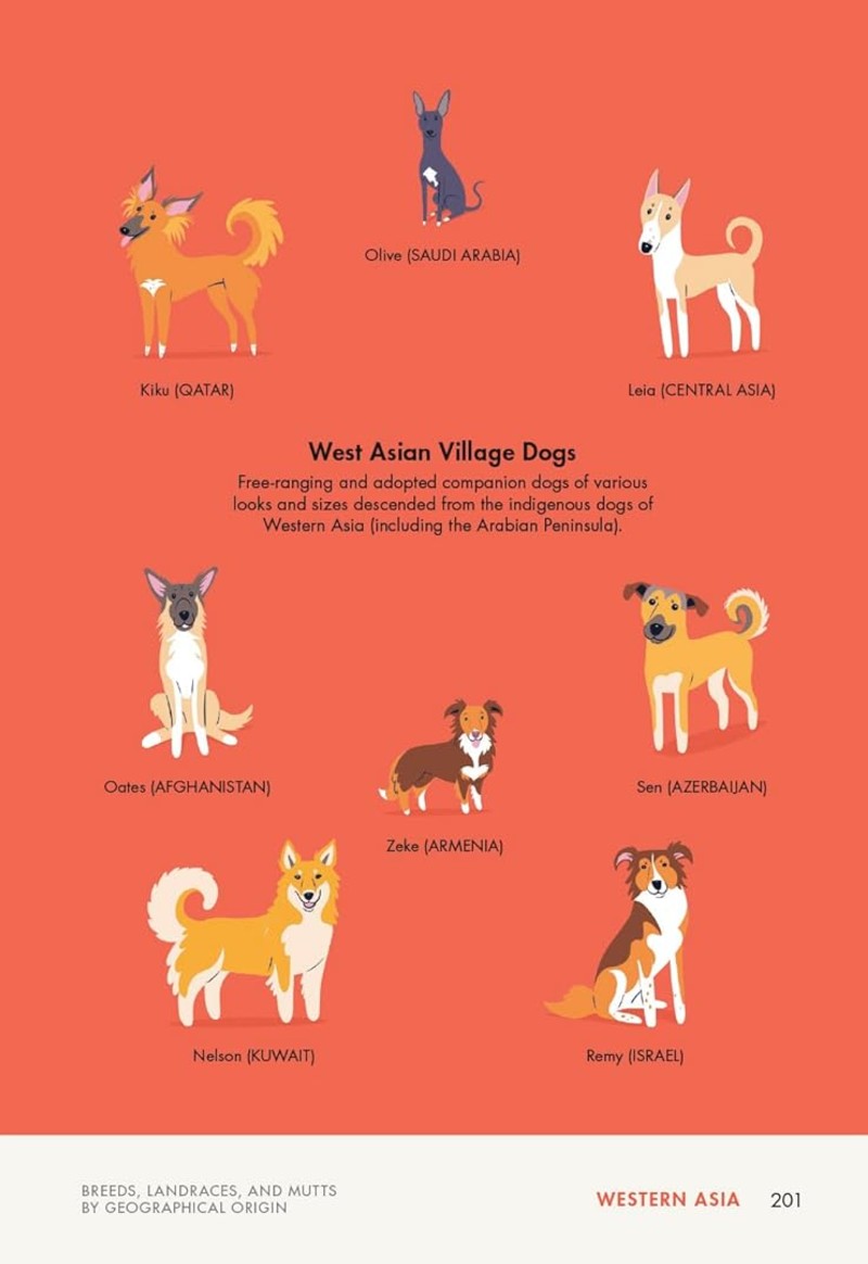 Terrier Trendy Dog Breeds Terrier Purebred Dogs Then And Now The