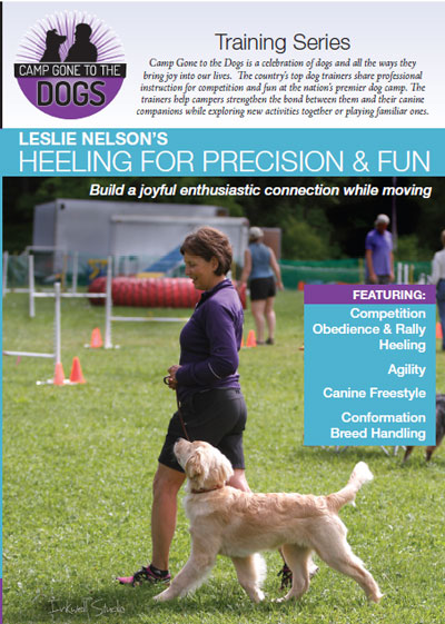 Heeling For Precision & Fun DVD - Dogwise