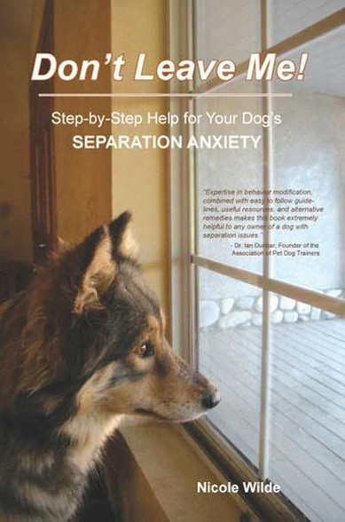 Separation Anxiety Best Small Dog That Can Be Left Alone Ebook