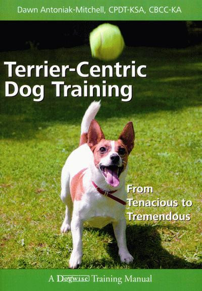 tenacious dog. or stubborn dog. which adjective  tenacious or