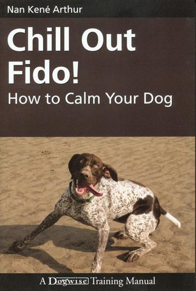 Preparing Fido: How to Introduce Your Dog to a New Baby - 2 Using calming techniques and tools