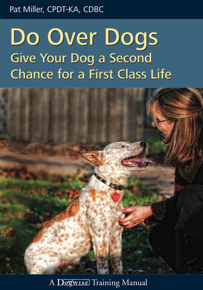 Do Over Dogs Give Your Dog A Second Chance for A First Class Life